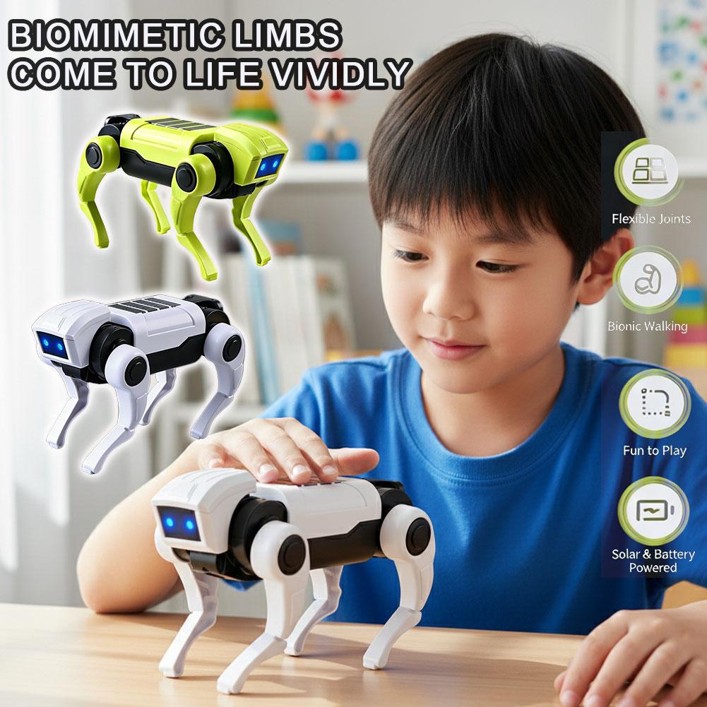 DIY Assembly RC Robot Dog Toy  - Science Project Robot review and price