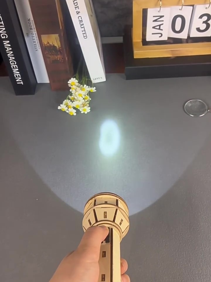 Wooden DIY Flashlight Puzzle K - Science Project review and price