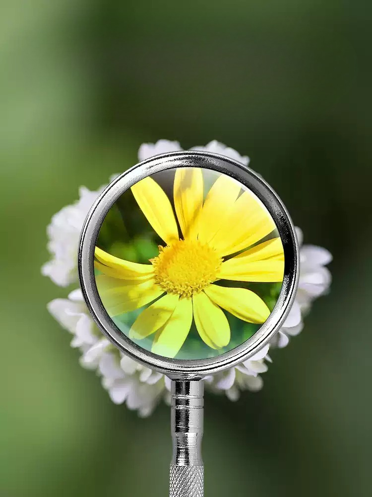 10X 20X Handheld Magnifying Gl - Science And Hobby review and price
