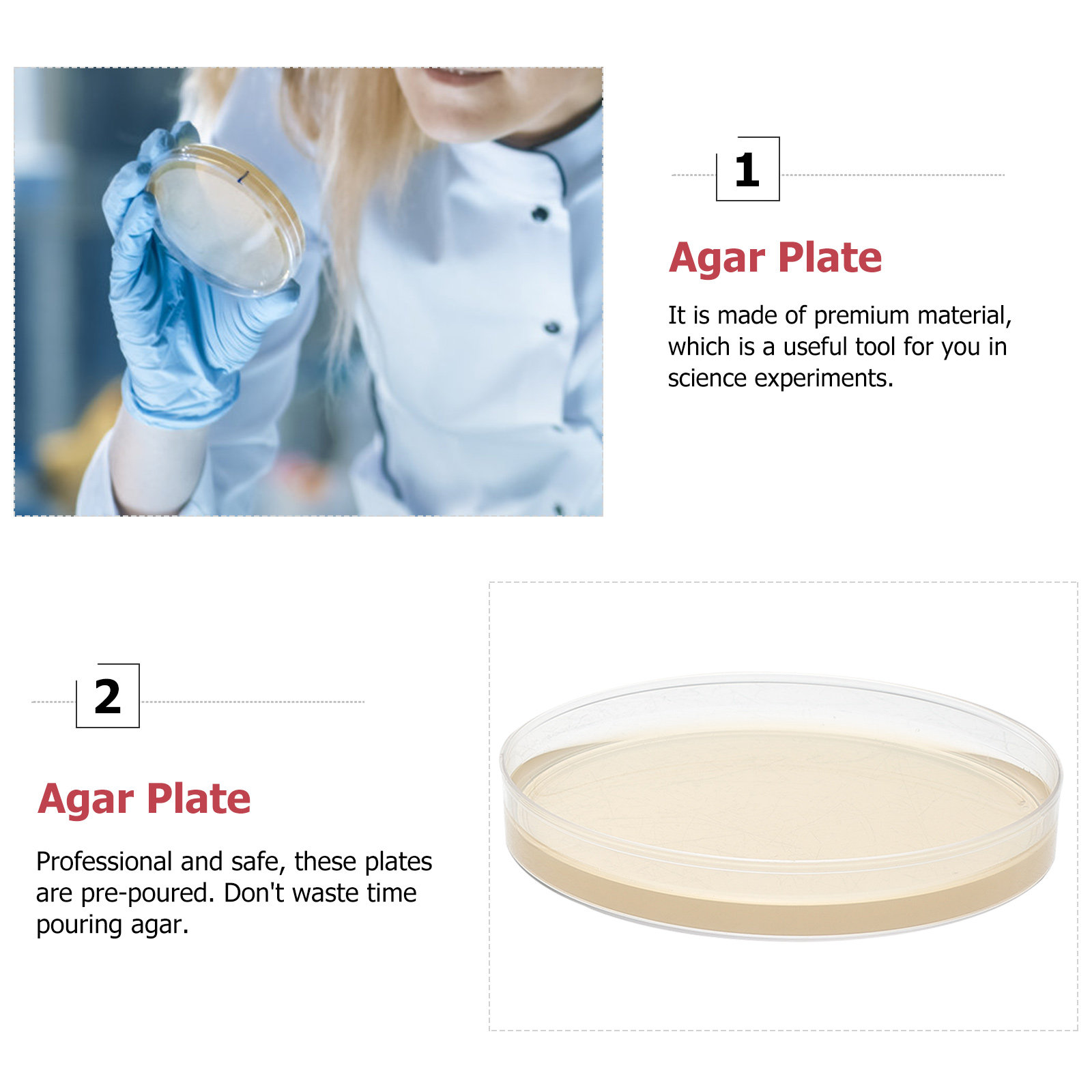 10pcs Nutrient Agar Plates Pre - Science Project review and price