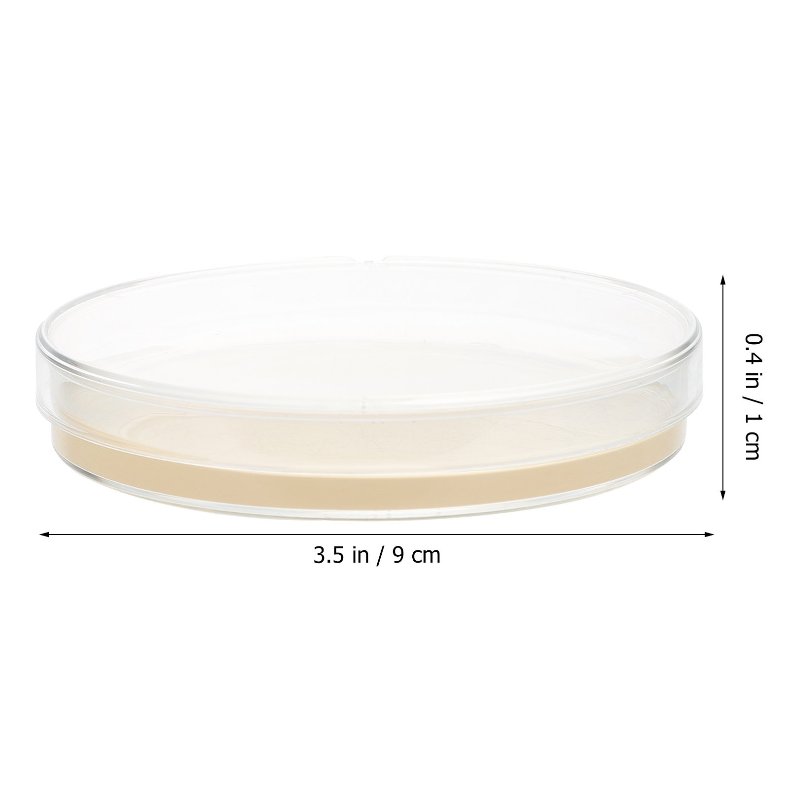 10pcs Nutrient Agar Plates Pre - Science Project review and price