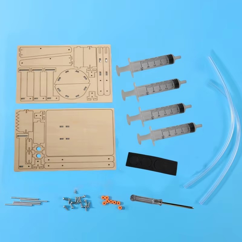 Fun STEM DIY Science Kit Woode - Science And Hobby review and price