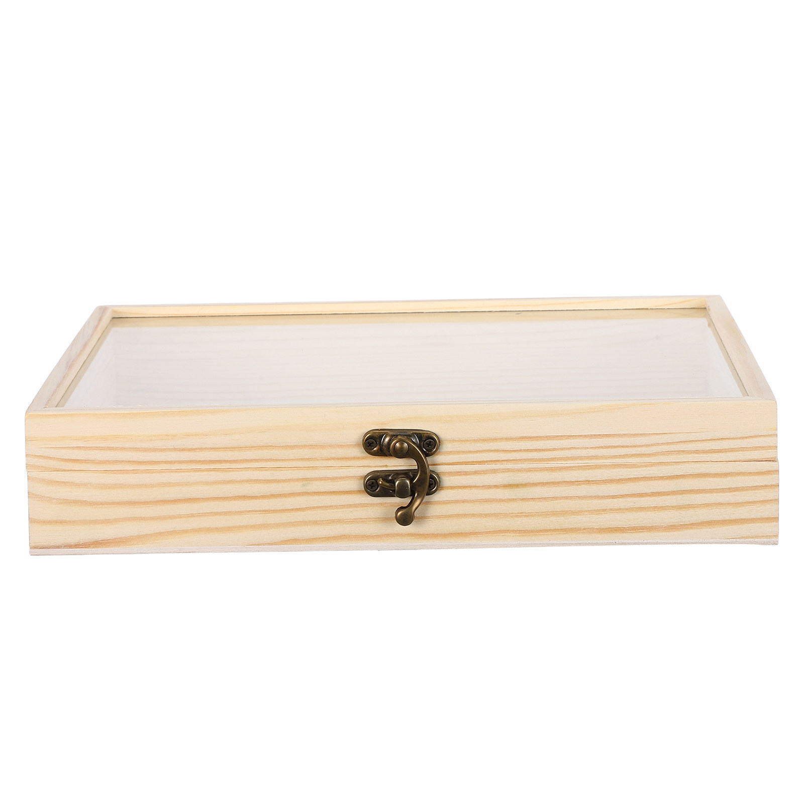 Solid Wood Insect Specimen Dis - Science Project review and price