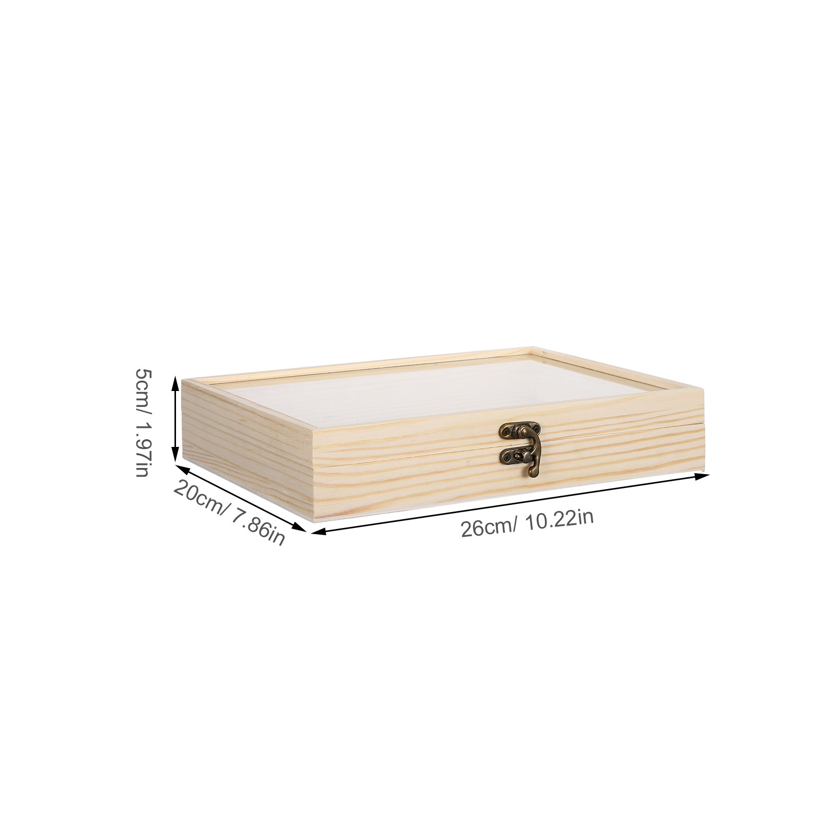 Solid Wood Insect Specimen Dis - Science Project review and price