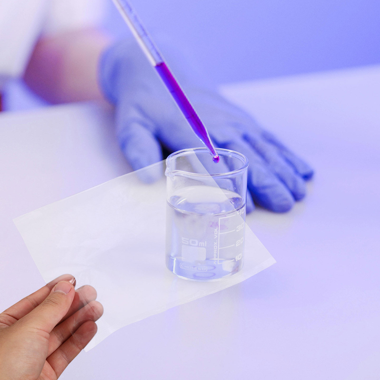 10Sheets Semi-Permeable Membra - Science Experiment review and price