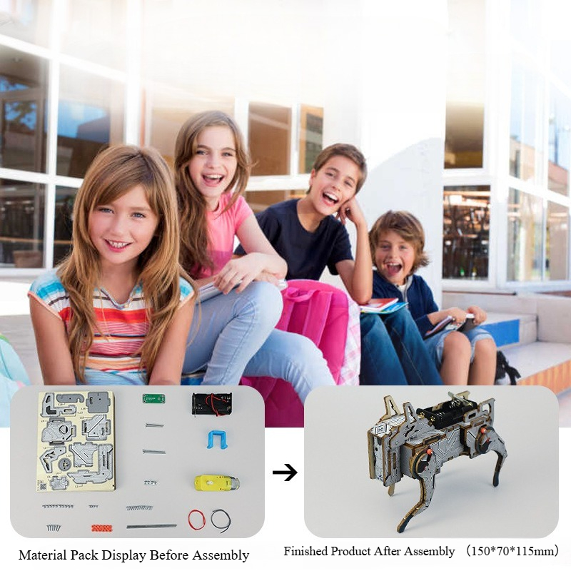 Voice Control Mechanical Dog S - Science Project Kit review and price